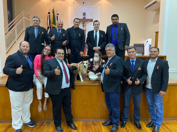 Câmara celebra o 