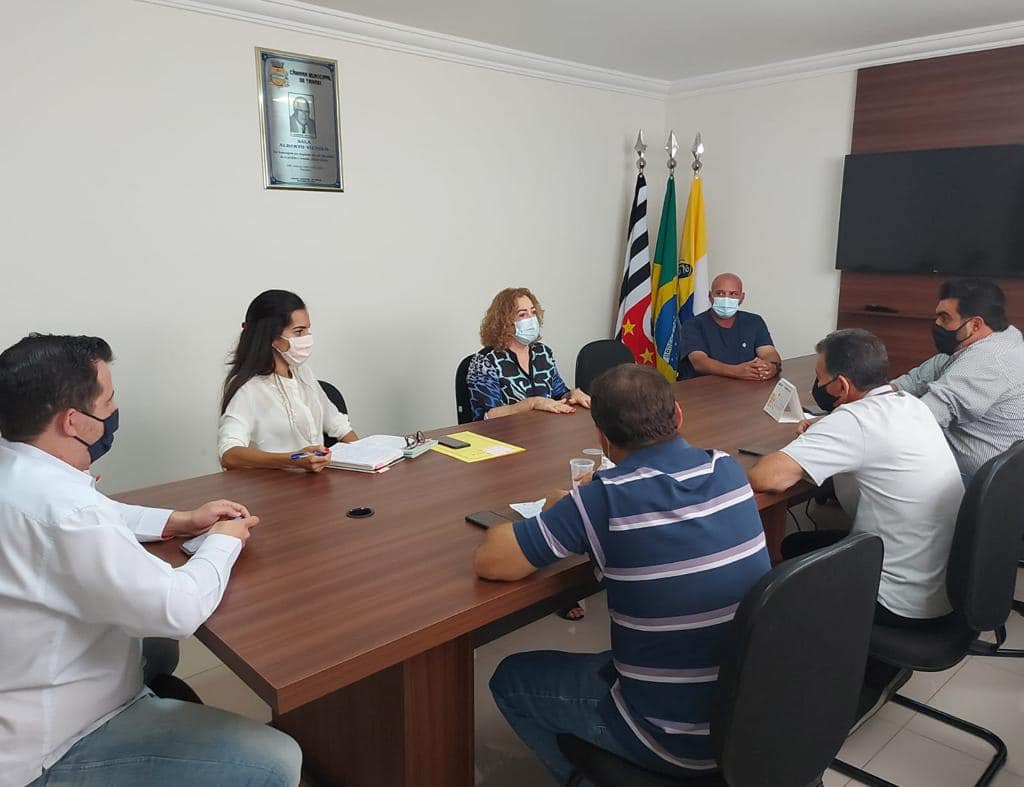 Comissão de Educação e Cultura realiza reunião com secretária